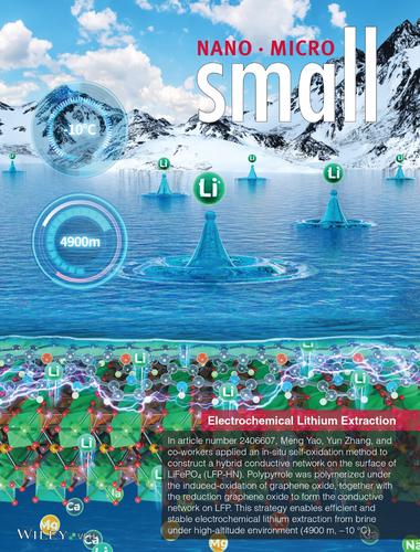 Self-Oxidated Hybrid Conductive Network Enables Efficient Electrochemical Lithium Extraction Under High-Altitude Environment (Small 3/2025)