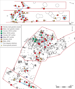 First farmers of Central Europe do not show family-related inequality