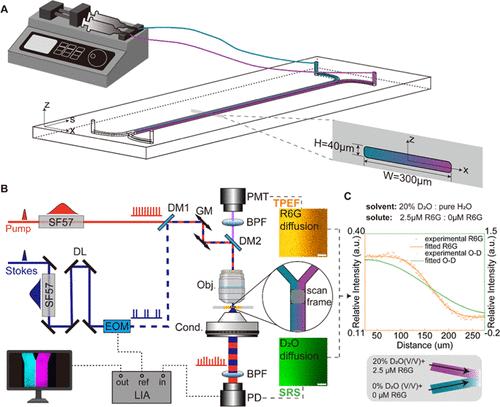 On-Chip Stimulated Raman Scattering Imaging and Quantification of Molecular Diffusion in Aqueous Microfluidics