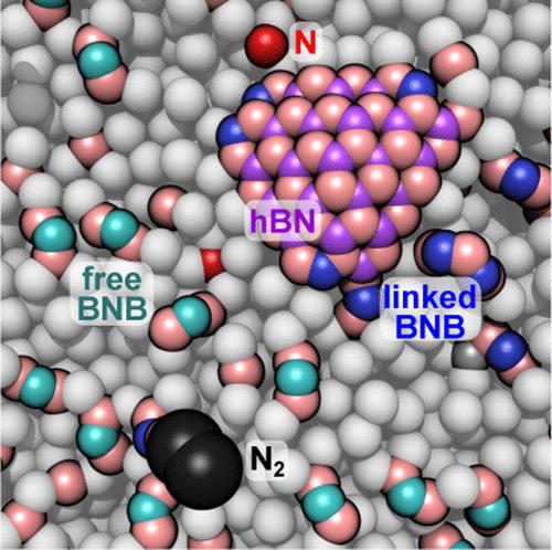 Growth of Hexagonal Boron Nitride from Molten Nickel Solutions: A Reactive Molecular Dynamics Study