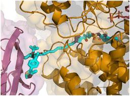 Degrading the key component of the inflammasome: development of an NLRP3 PROTAC