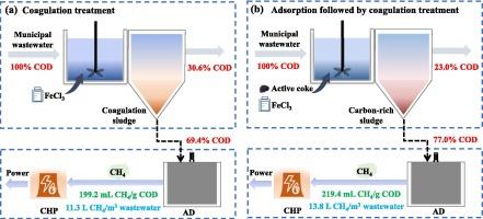 Up-concentration of organic matter from municipal wastewater by coagulation coupled with active coke adsorption to improve carbon capture and anaerobic methanogenesis efficiency