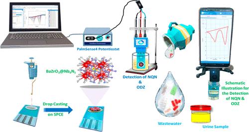 Simultaneous Detection of 4-Nitroquinoline-1-oxide and Nitroimidazole Drug Using a Perovskite-BaZrO<sub>3</sub>@Nb<sub>4</sub>N<sub>5</sub>-Nanocomposite-Modified Disposable Carbon Electrode.