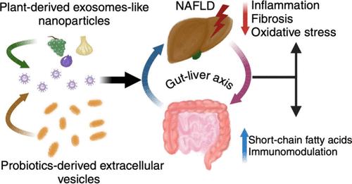 Exploring Extracellular Vesicles: A Novel Approach in Nonalcoholic Fatty Liver Disease