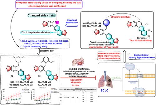 Synthesis, Structural Modification, and Antismall Cell Lung Cancer Activity of 3-Arylisoquinolines with Dual Inhibitory Activity on Topoisomerase I and II