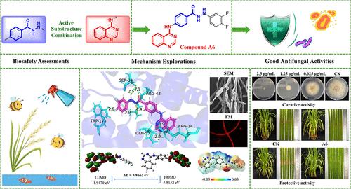 Discovery of New Benzohydrazide Derivatives Containing 4-Aminoquinazoline as Effective Agricultural Fungicides, the Related Mechanistic Study, and Safety Assessment