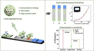 In-situ growth of highly stable CsPbBr3@MSN@PbBr(OH) through water-assisted strategy for high sensitivity immunochromatographic assay