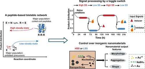 Bistable Functions and Signaling Motifs in Systems Chemistry: Taking the Next Step Toward Synthetic Cells