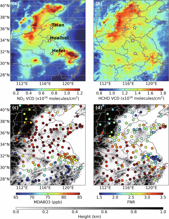 Vertical and spatial differences in ozone formation sensitivities under different ozone pollution levels in eastern Chinese cities