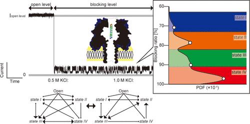 Complex and Non-sequential Current Signatures of a β-Hairpin Peptide Confined in a Nanopore