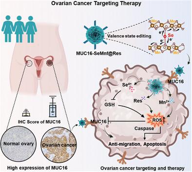 High-Valence Selenium Nanotherapeutics Downregulates MUC16 to Drive Precise Ovarian Cancer Therapy through Redox Perturbation
