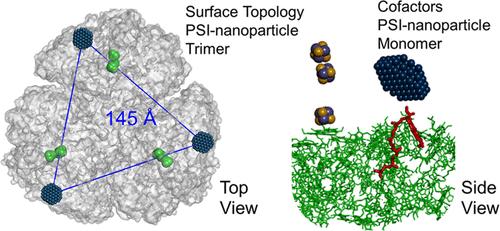 Structural Characterization of the Platinum Nanoparticle Hydrogen-Evolving Catalyst Assembled on Photosystem I by Light-Driven Chemistry