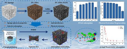 Highly Efficient Removal of Per- and Polyfluoroalkyl Substances by Extrusion-regenerated Aminated Polyurethane Sponges