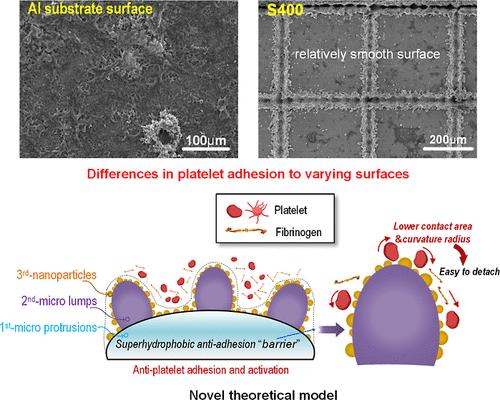 Autonomous Anticoagulation on a Biomimetic Al-Based Hierarchical Surface.