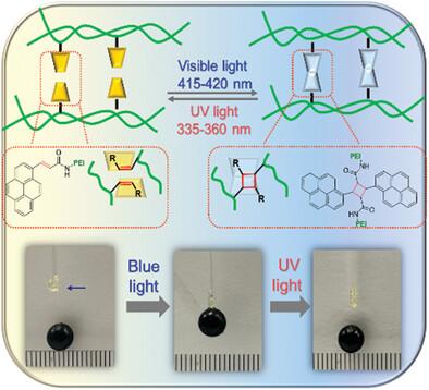 Moisture Tolerance, Thermally Stable and Light Switchable Adhesives Platform Based on Reversible Redshifted [2 + 2] Photocycloaddition