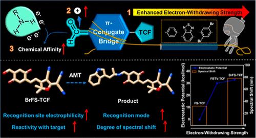 Precise Electron-Withdrawing Strength Regulation of π-Conjugate Bridge-Boosted Specific Detection toward α-Methyltryptamine