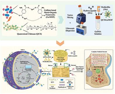 Directional Freeze-Casting Cryogel Loaded with Quaternized Chitosan Modified Gallium Metal–Organic Frameworks to Capture and Eradicate the Resistant Bacteria for Guided Regeneration in Infected Bone Defects