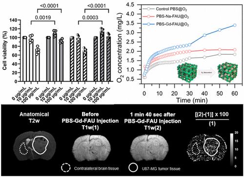 Injectable Biocompatible Zeolite Nanocrystals for Enhanced Tumor Oxygenation and MRI Imaging