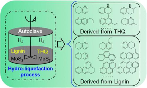 Are Polycyclic Aromatic Hydrocarbons in the Hydro-Liquefaction Products of Lignin Derived from the Lignin or Hydrogen Donor Solvent?