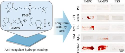 Stability Study of Anticoagulant Hydrogel Coatings Toward Long-Term Cardiovascular Devices