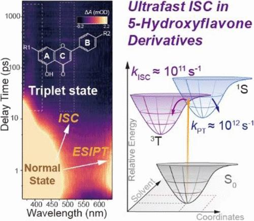 Ultrafast Intersystem Crossing in Naturally Occurring Plant Pigments 5-Hydroxyflavones under Direct UV Excitation