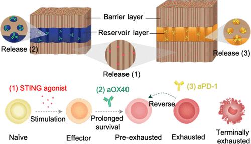 Programmable Porous Silicon Microparticles for Temporally Staged Drug Delivery in Combination Cancer Immunotherapy