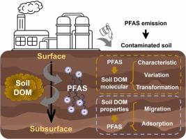 Interactive effects of soil dissolved organic matter (DOM) and Per- and polyfluoroalkyl substances on contaminated soil site: DOM molecular-level perspective
