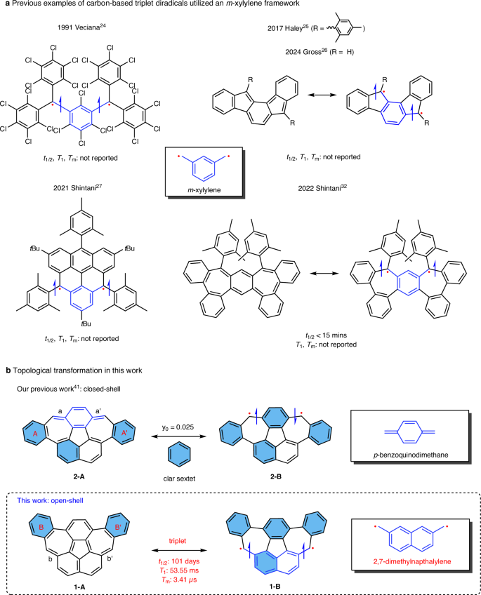 Triplet-ground-state nonalternant nanographene with high stability and long spin lifetimes