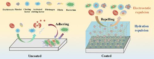 Lubricating Copolymer Brushes Achieving Excellent Antiadhesion and Antibacterial Performance through Hydration and Electrostatic Repulsion Effects