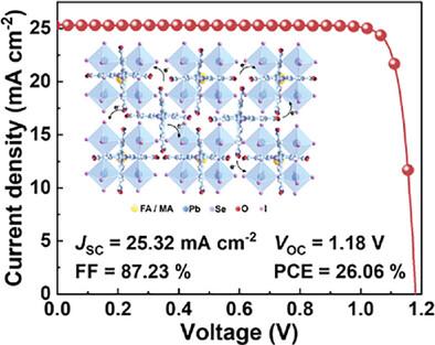 Dimensional Regulation of Organic n-Type Dopants for Highly Efficient Perovskite Solar Cells and Modules