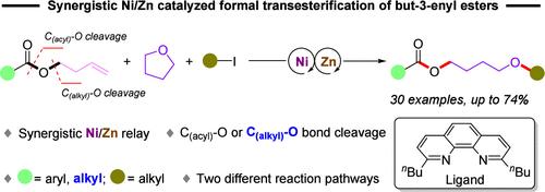 Formal Transesterification Reaction of But-3-enyl Esters Enabled by a Synergistic Nickel/Zinc Relay