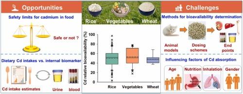 Health risk assessment of dietary cadmium exposure based on cadmium bioavailability in food: Opportunities and challenges