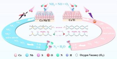 Unraveling the contribution of acidic metal oxides modulating the CeO2/TiO2 catalyst acid sites for NH3-SCR activity and SO2 tolerance