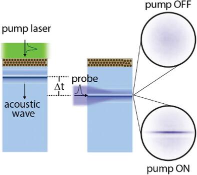 Photoacoustics for Direct Light-Guiding Inside Transparent and Scattering Media