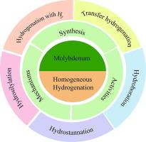 Molybdenum catalyzed homogeneous hydrogenation reaction: Recent innovations in catalysts design, modes of activation and reaction mechanisms