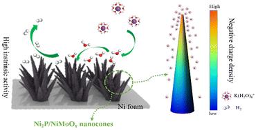 A Ni2P/NiMoOx nanocone electrocatalyst for efficient hydrogen evolution: tip-enhanced local electric field effect†