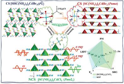 Designing Polar Covalent Hybrid Cadmium-Based Chalcohalides Ultraviolet Nonlinear Optical Crystal with Strong Optical Anisotropy via Double-Site Dual FBUs Tailoring