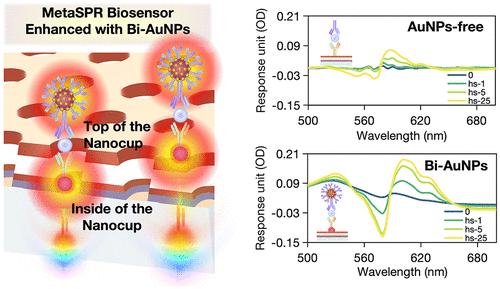 Metasurface Plasmon Resonance Biosensor Enhanced with Dual Gold Nanoparticles for the Ultrasensitive Quantitative Detection of C-Reactive Protein