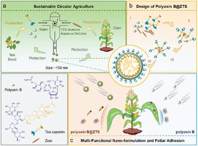 Two Birds with One Stone: Eco-Friendly Nano-Formulation Endows a Commercial Fungicide with Excellent Insecticidal Activity