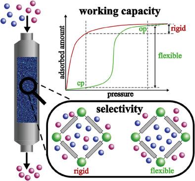 Adsorption and Separation by Flexible MOFs