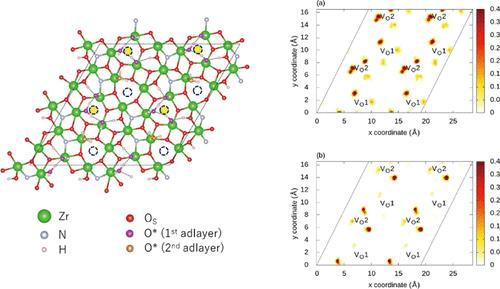 Defect Segregation, Water Layering, and Proton Transfer at Zirconium Oxynitride/Water Interface Examined Using Neural Network Potential