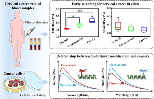 Label-Free and Sequence-Independent Isothermal Amplification Strategy for the Simultaneous Detection of Genomic 5-Methylcytosine and 5-Hydroxymethylcytosine