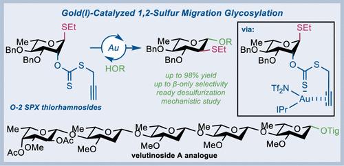 Gold(I)-Catalyzed 2-Deoxy-β-glycosylation via 1,2-Alkyl/Arylthio Migration: Synthesis of Velutinoside A Pentasaccharide