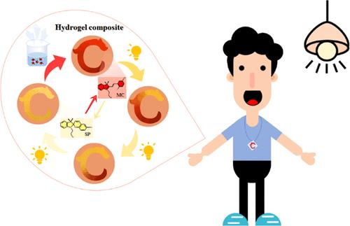 A Spiropyran-Based Hydrogel Composite for Wearable Detectors to Monitor Visible Light Intensity to Prevent Myopia