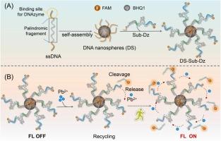 DNA nanosphere-enhanced DNAzyme system for sensitive and rapid detection of lead contamination in water and living cells