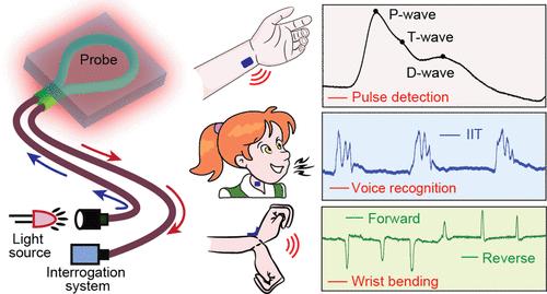 Polymer-Layered Optical Wearable (PLOW) for Healthcare Applications: Temperature and Stretching Monitoring