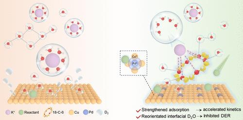 Cuδ+ Site-Enhanced Adsorption and Crown Ether-Reconfigured Interfacial D2O Promote Electrocatalytic Dehalogenative Deuteration
