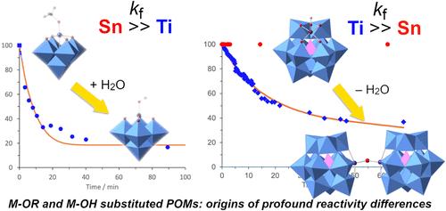 Protonolysis and Condensation Reactions of Alkoxido-Substituted Lindqvist {MW5} and Keggin {MPW11} Polyoxometalates: Comparative Experimental and Modeling Studies