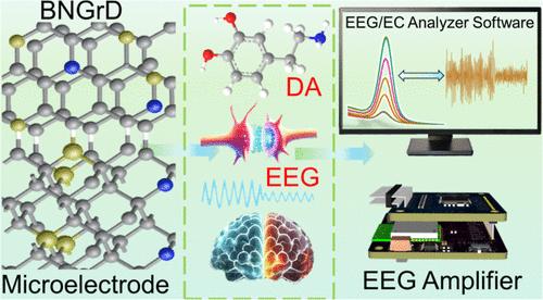 Brain–Computer Interface and Electrochemical Sensor Based on Boron–Nitrogen Co-Doped Graphene–Diamond Microelectrode for EEG and Dopamine Detection