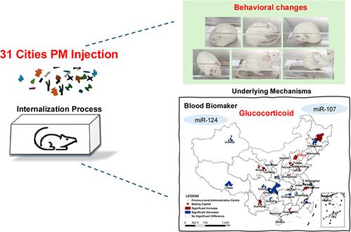 Differential Neurotoxicity Induced in Rats by Injection of PMs from 31 Major Cities in China